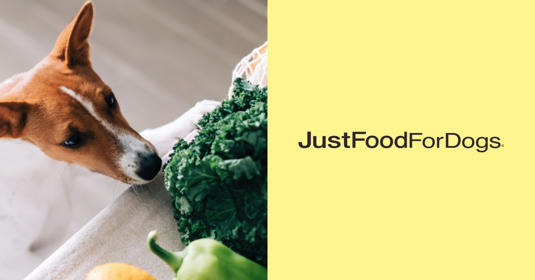 JustFoodForDogs fills an additional $7 million in orders annually by automating inventory management